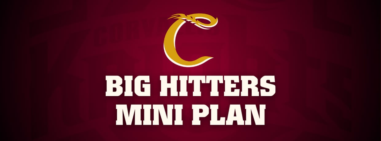 Big Hitters Mini Plan ($110)