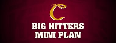 Big Hitters Mini Plan ($110)