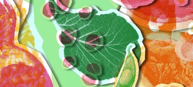 Food, Memory & Print: A Creative Collage with Fae Siddiqui