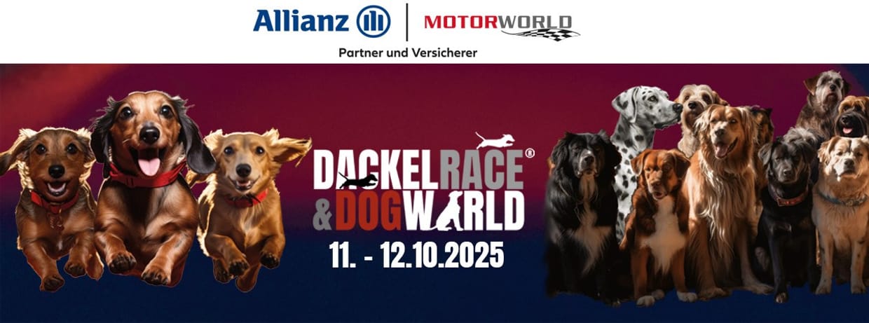 DackelRace & Dogworld