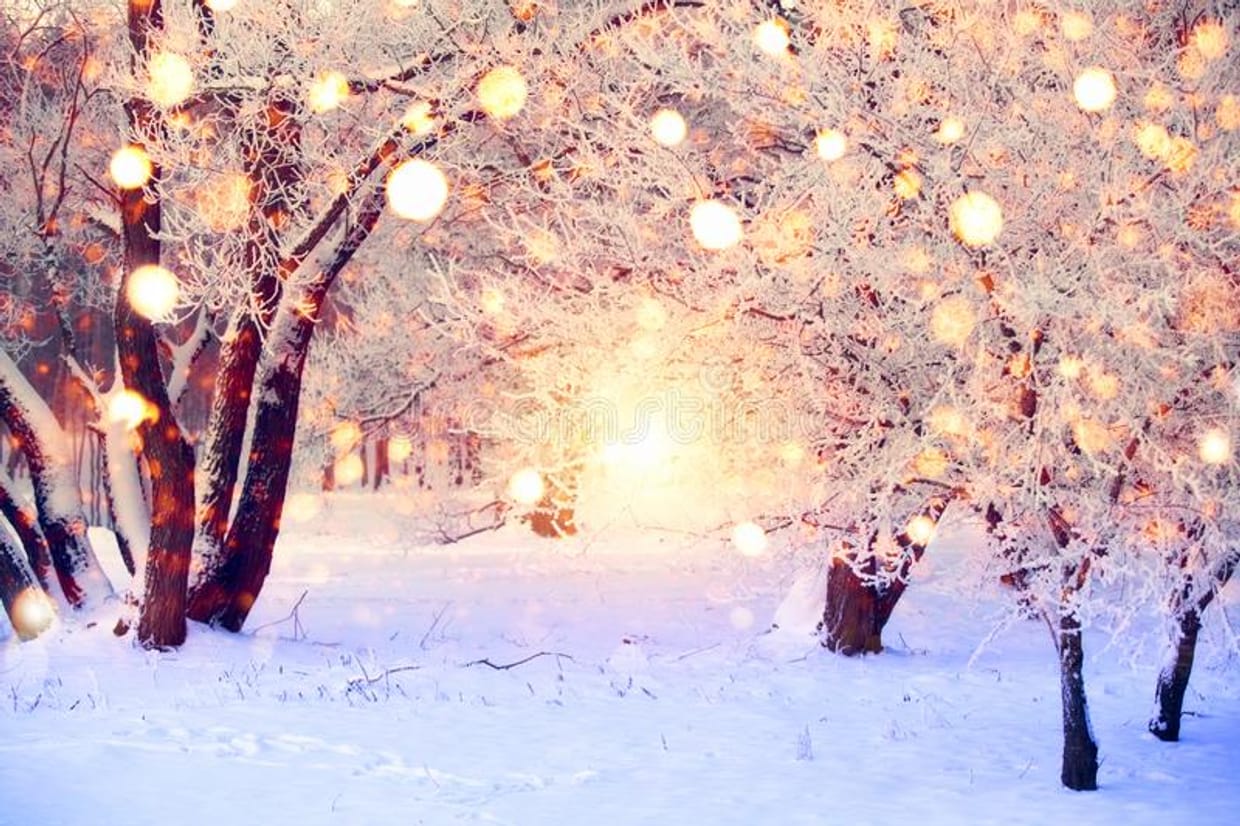 EWS and PBB Present: Winter Wonderland 2025