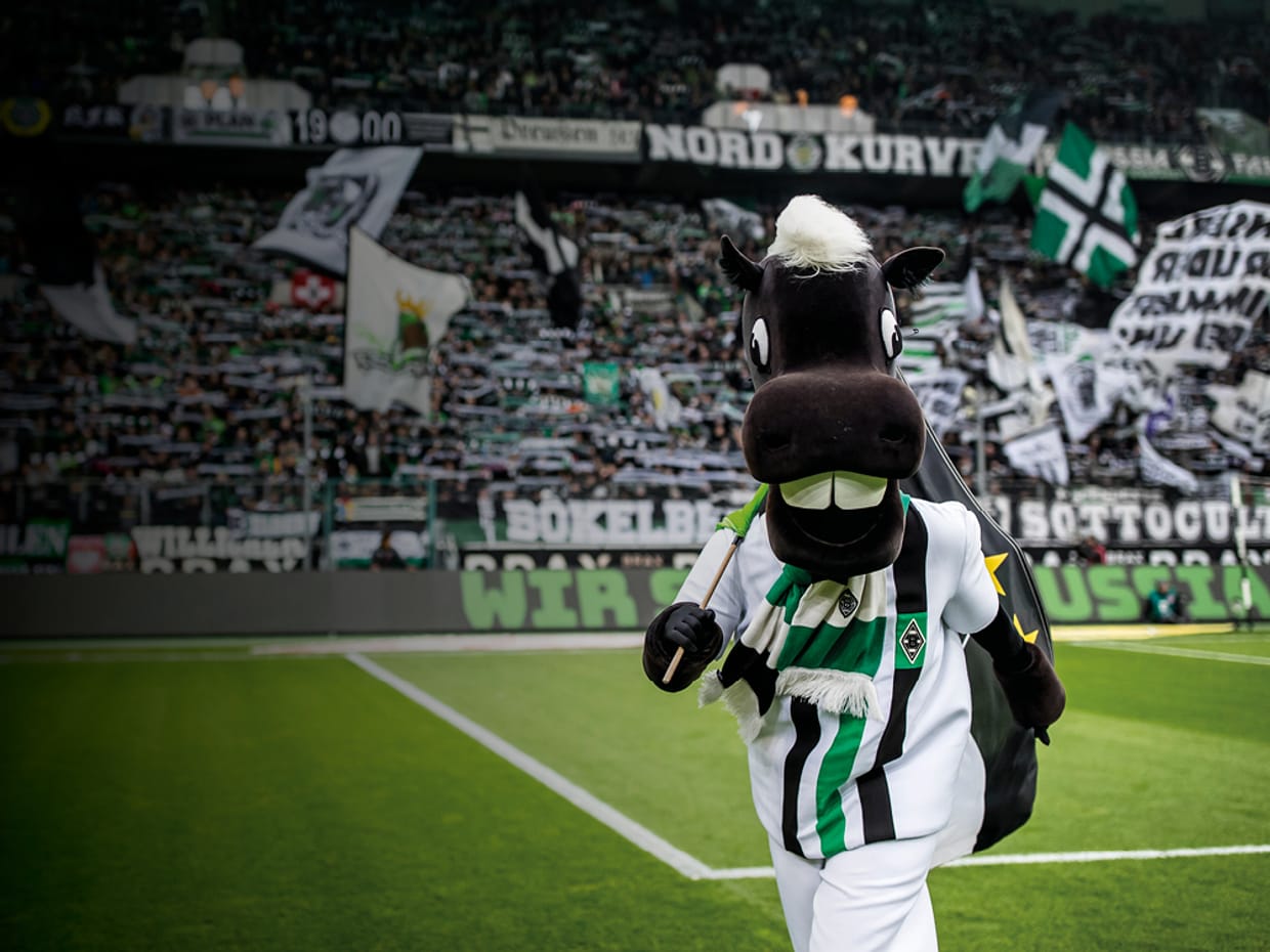 Sonderstadionführung Spiel und Spaß mit Jünter  