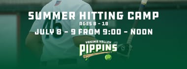 Summer Hitting Camp - Two Days