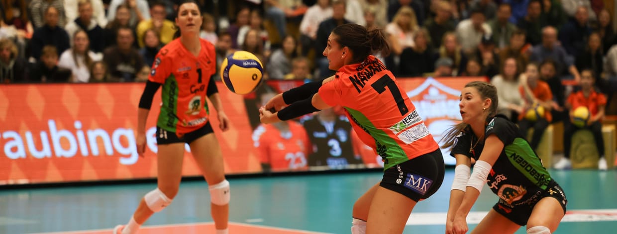 NawaRo vs. TV Dingolfing