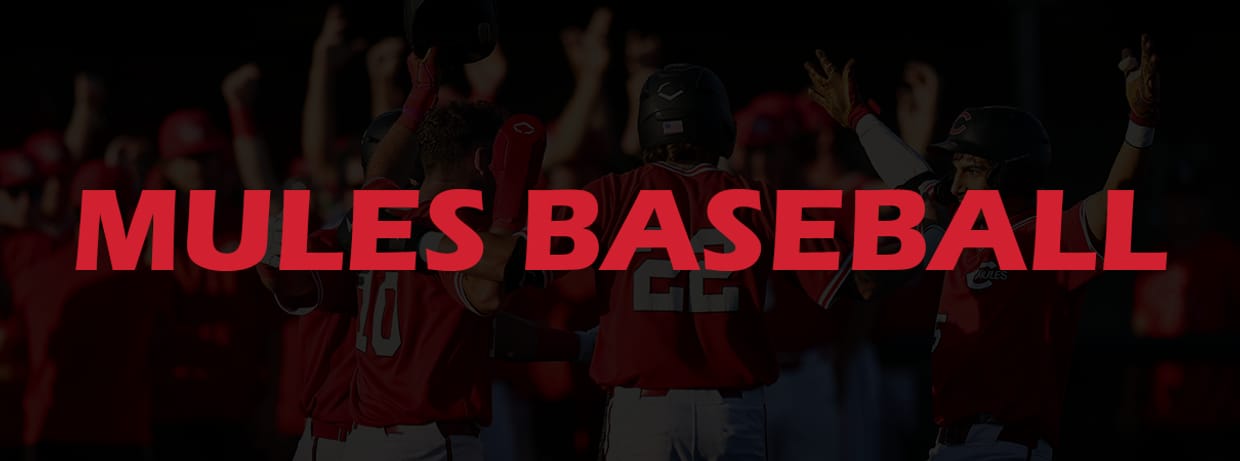 Mules Baseball vs Arkansas Tech Doubleheader