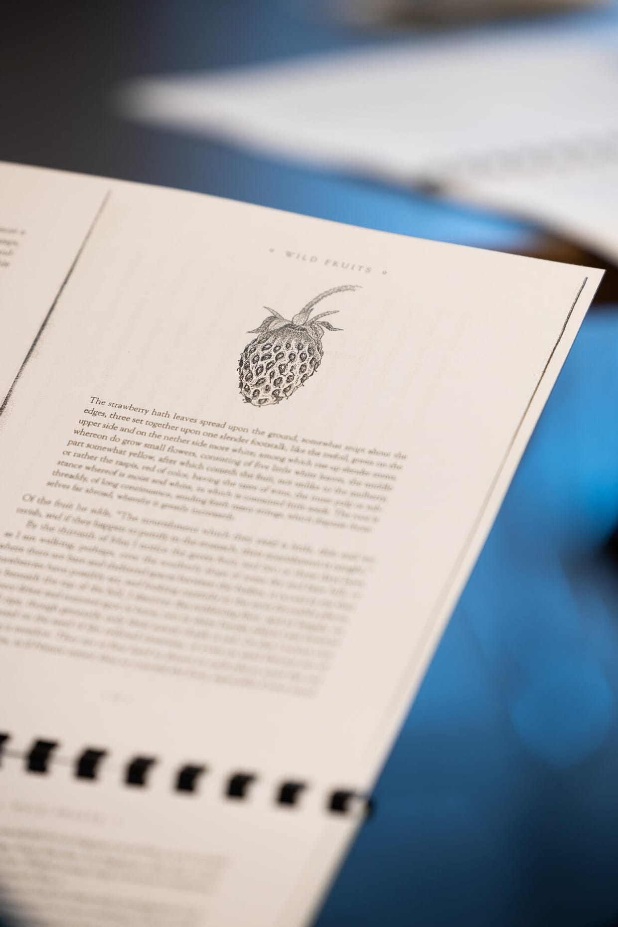 Nature Writing und die "wiederhergestellte Natur"
