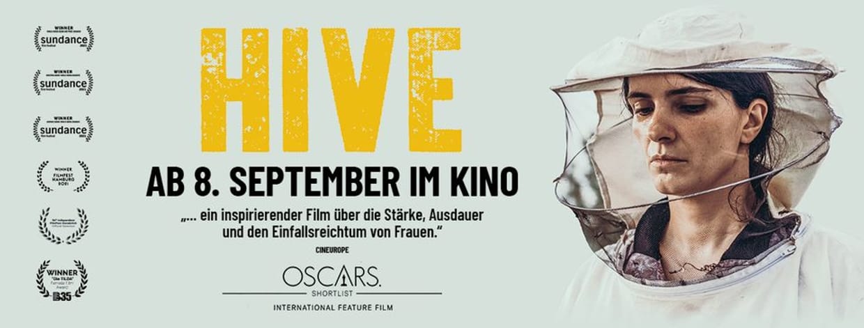 Kino: Hive
