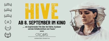 Kino: Hive