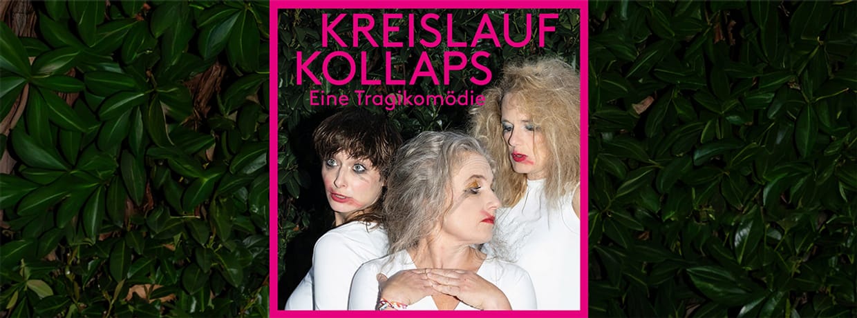 KREISLAUFKOLLAPS 