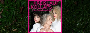 KREISLAUFKOLLAPS