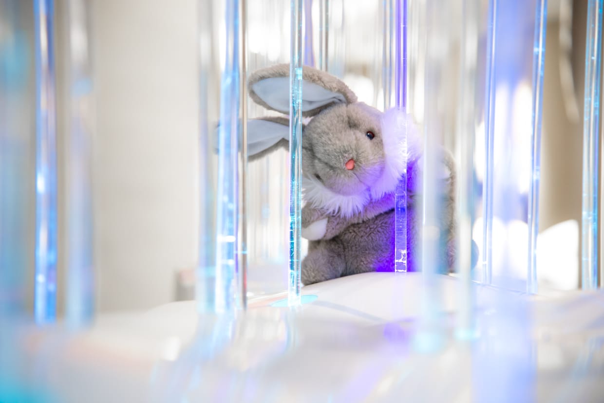 Ostern mit Hase Langohr