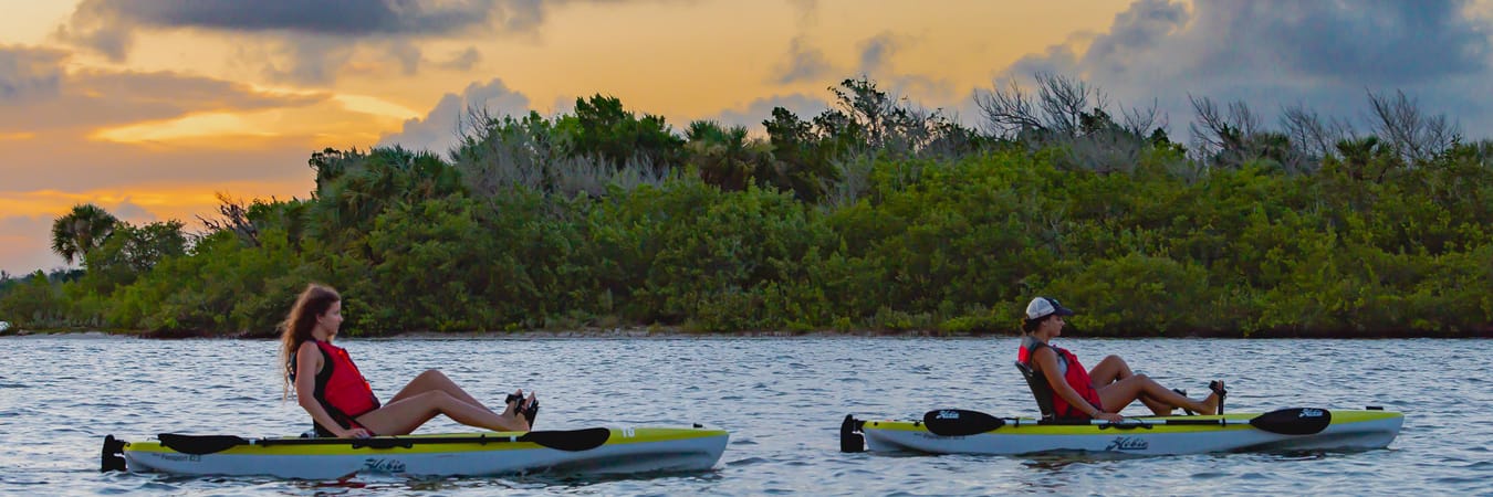 Immerse Yourself in Nature with Singing Pines & Viking EcoTours