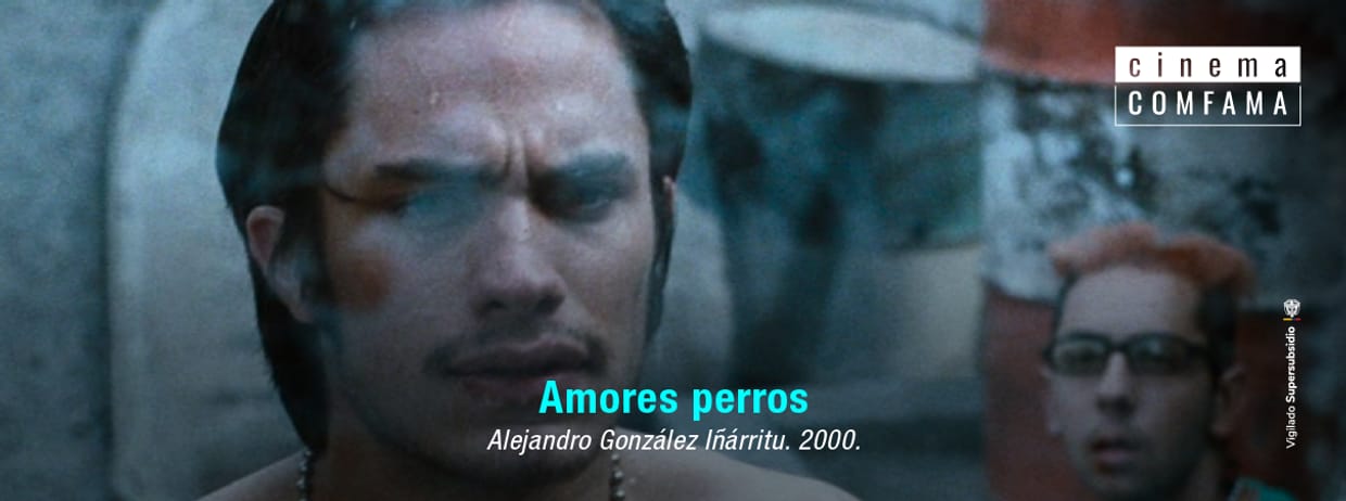 Amores perros