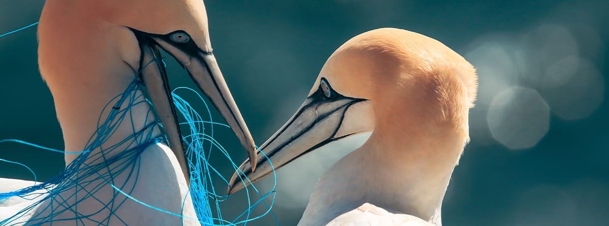 VORTRAG | MIkroplastik im Rhein