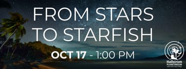From Stars to Starfish