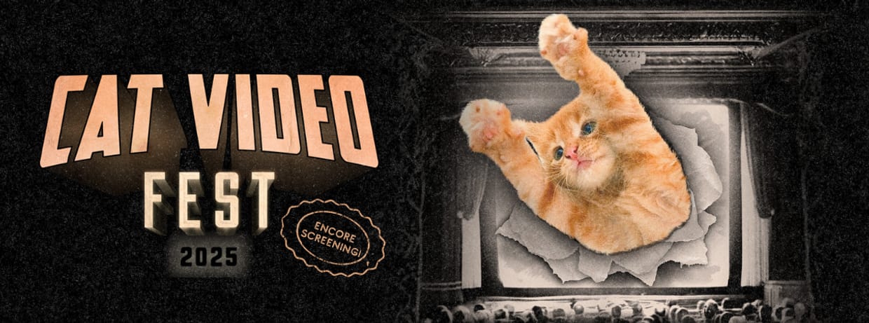CatVideoFest 2025