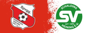 Spvgg Hankofen-Hailing - SV Schalding-Heining