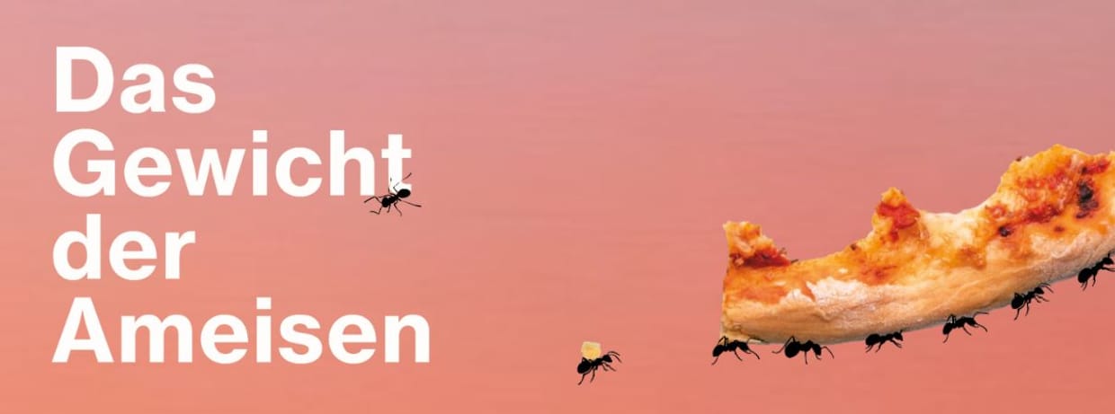 Sa 20. Juni | 20 Uhr | Das Gewicht der Ameisen // 12+