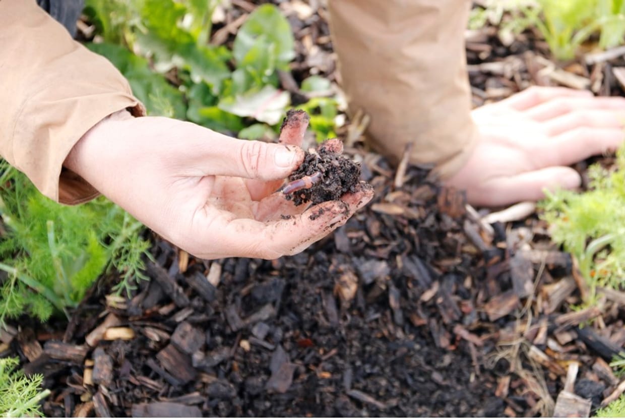 Soil Health Conference