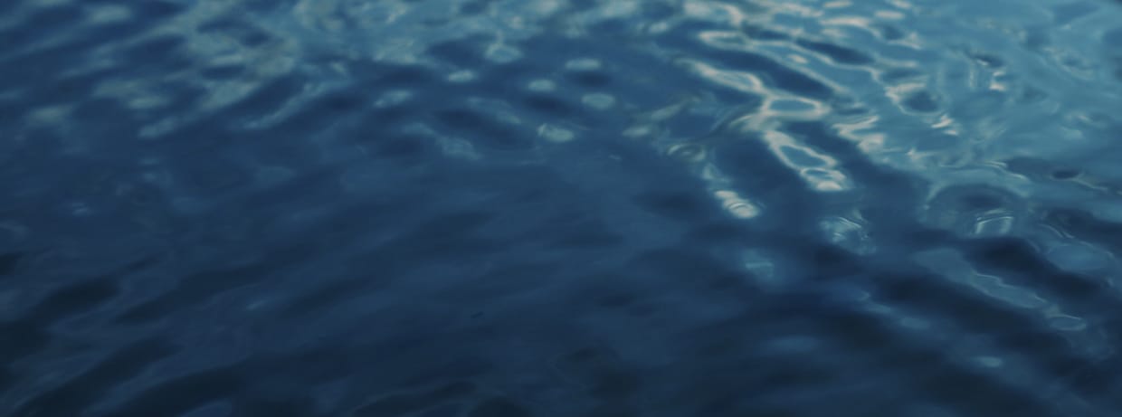 READING: The Waves by Marnie Booth