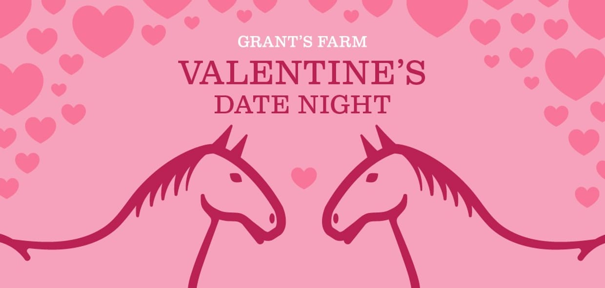 Valentines Date Night at Grant's Farm 2025