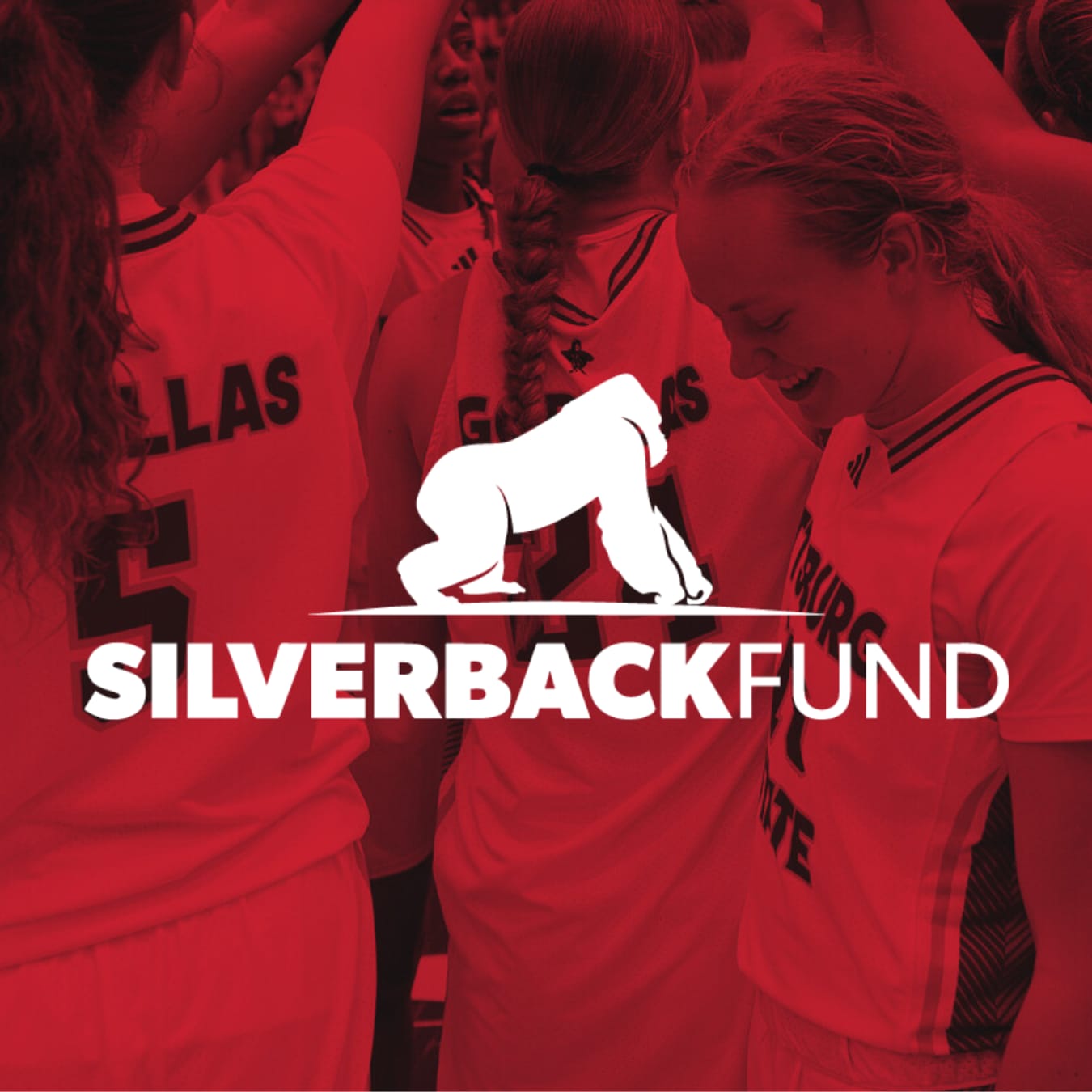 Silverback Fund