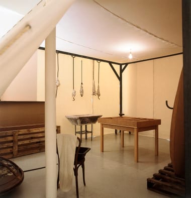Huang Yong Ping, House of Oracles: an inner reflection