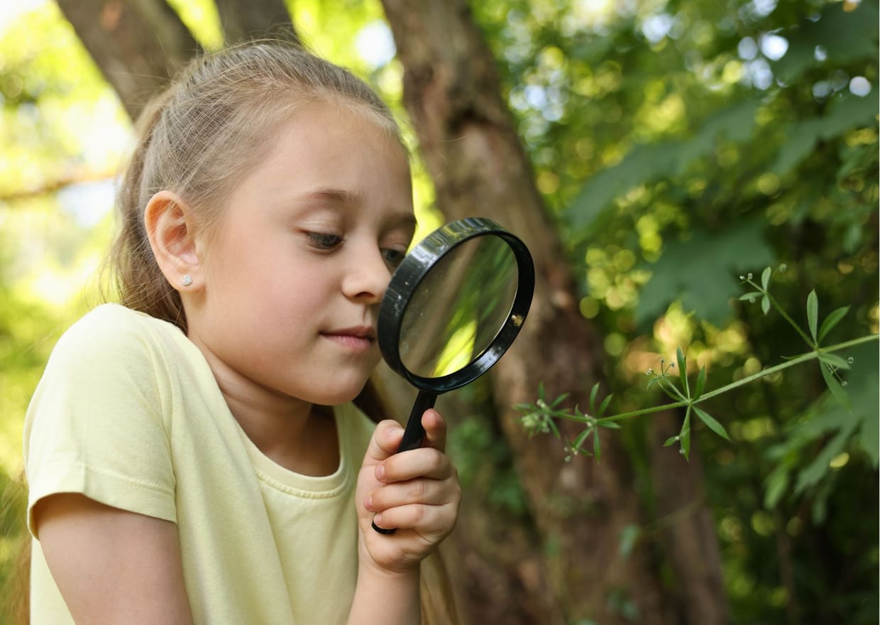 Tierspurensuche im Wald