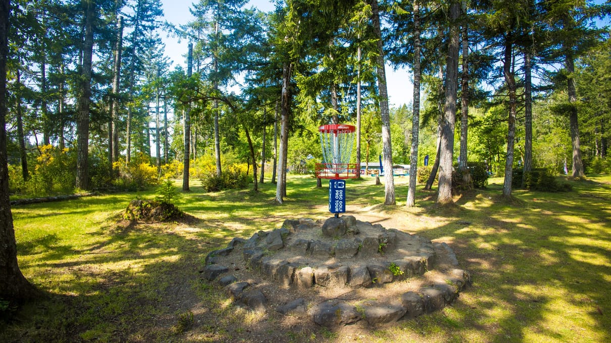 Disc Golf Pro Tour