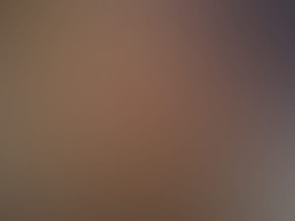 TEST MOS Schrettle