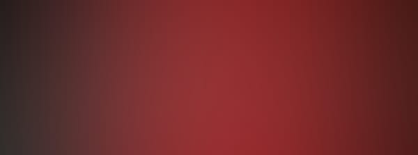 Lions 2026/27 Season - Full Season