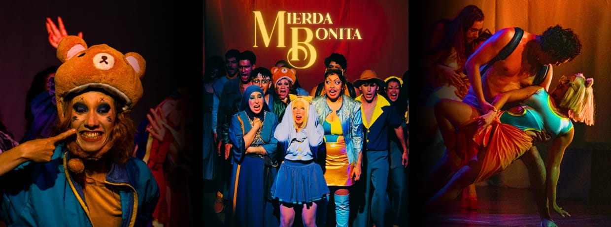 MIERDA BONITA
