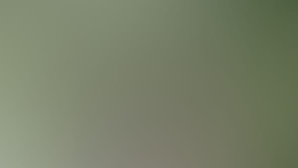 traduire un paysage sonore : épisode 2