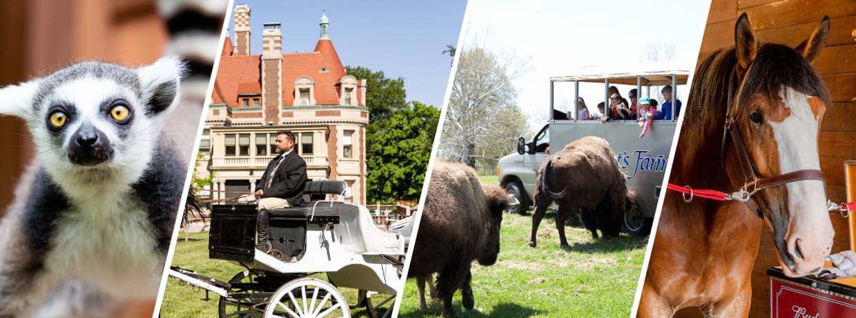 Grant's Farm Tours 2025