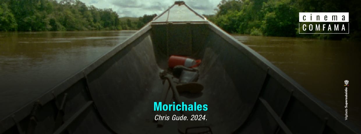 Morichales