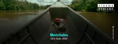Morichales