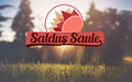 SIA "Festivāls Saldus Saule", Reģ. Nr. 42103066047