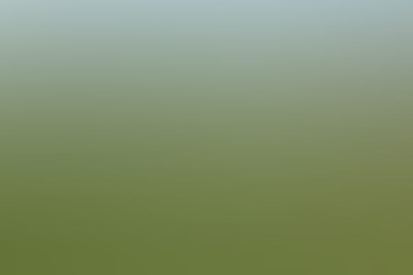 2024 Soccer Season Tickets (Men's & Women's)