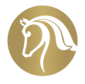Horse Event