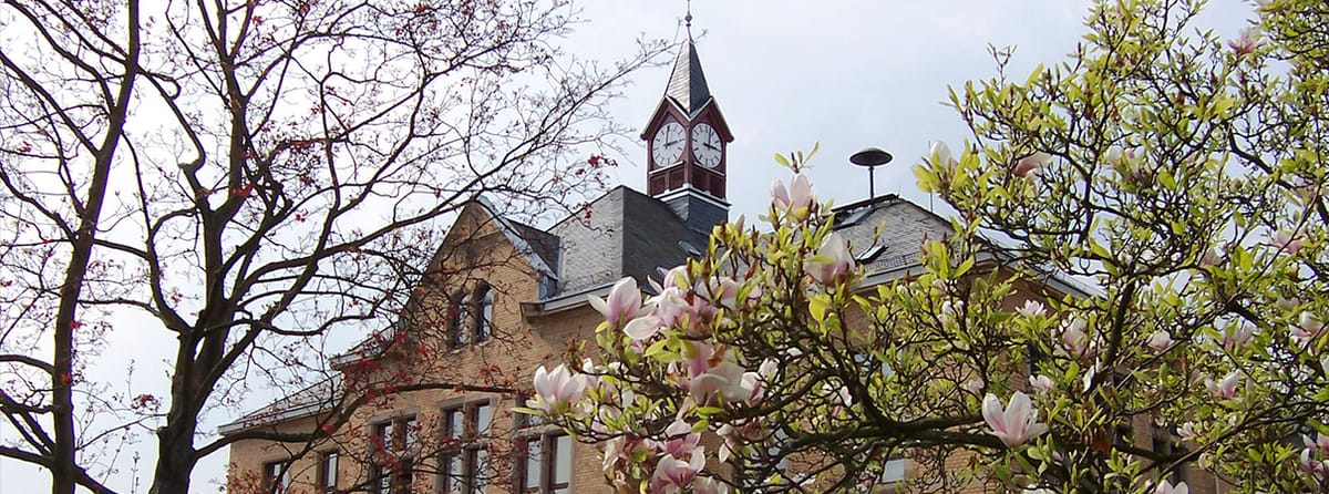 Stadt Ginsheim-Gustavsburg