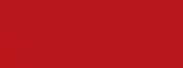 READING: The Little Red Book by Victor Y Z Xu