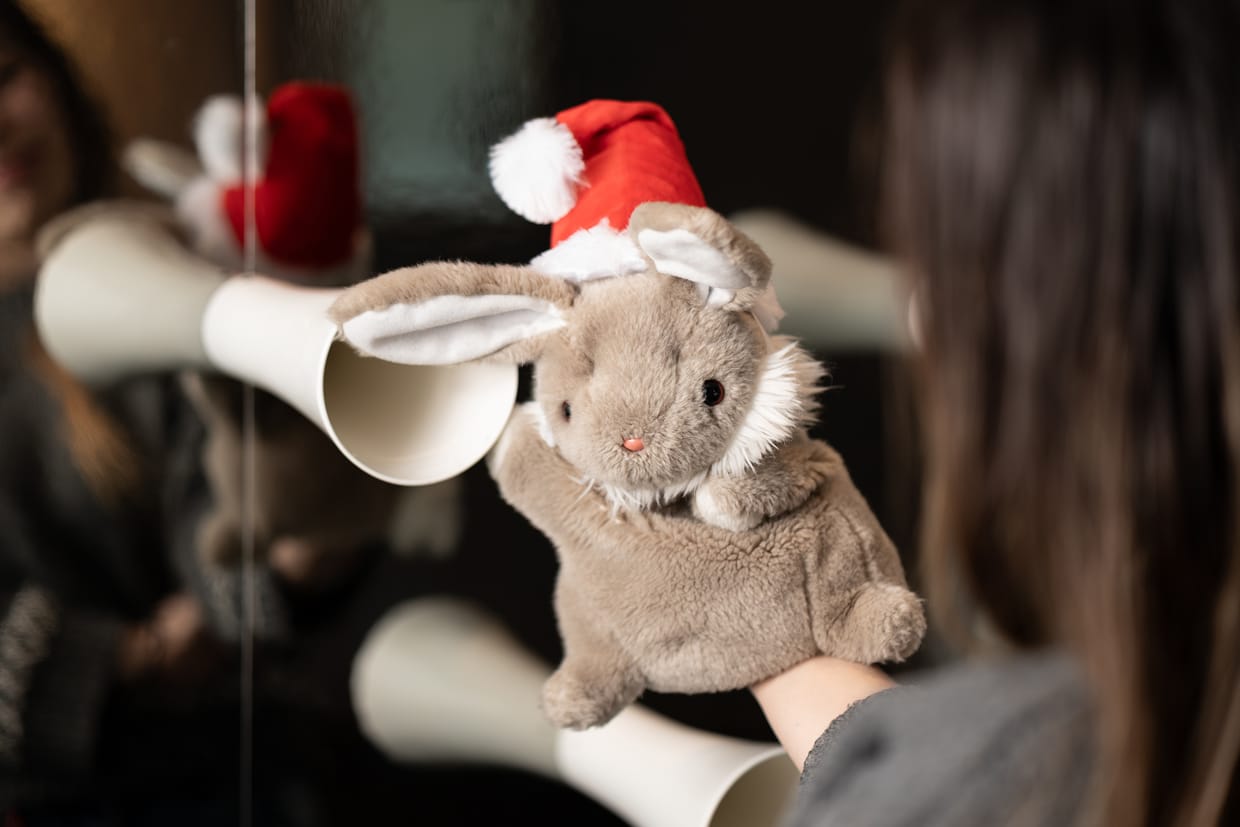 Weihnachten mit Hase Langohr