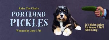 Bernese Mountain Dog and Shepherd Night + Woof Wednesday Presented by RecycleOn
