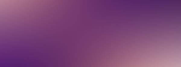 2027 QLD Firebirds Full Season Memberships