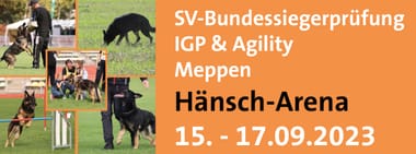 SV-Bundessiegerprüfung IGP & Agility 2023 in Meppen