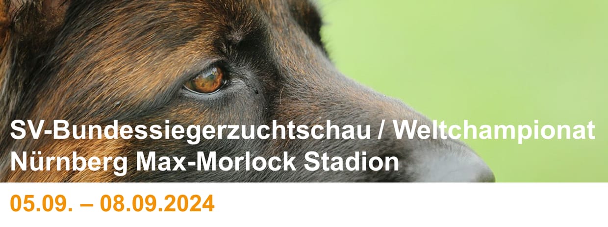 BSZ 2024 - Parkplätze und Eintrittskarten