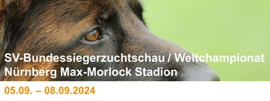BSZ 2024 - Parkplätze und Eintrittskarten