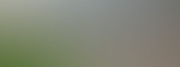 Latvijas atklātais čempionāts spīdvejā