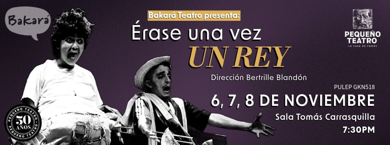 ERASE UNA VEZ UN REY