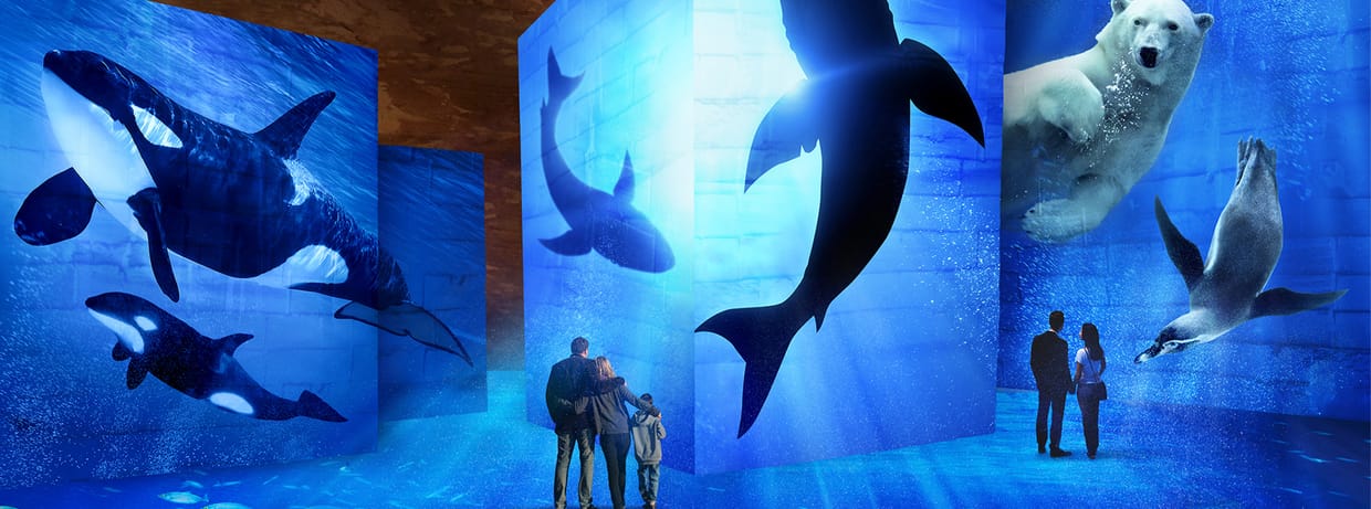 Océan, Immersion dans le monde sous-marin